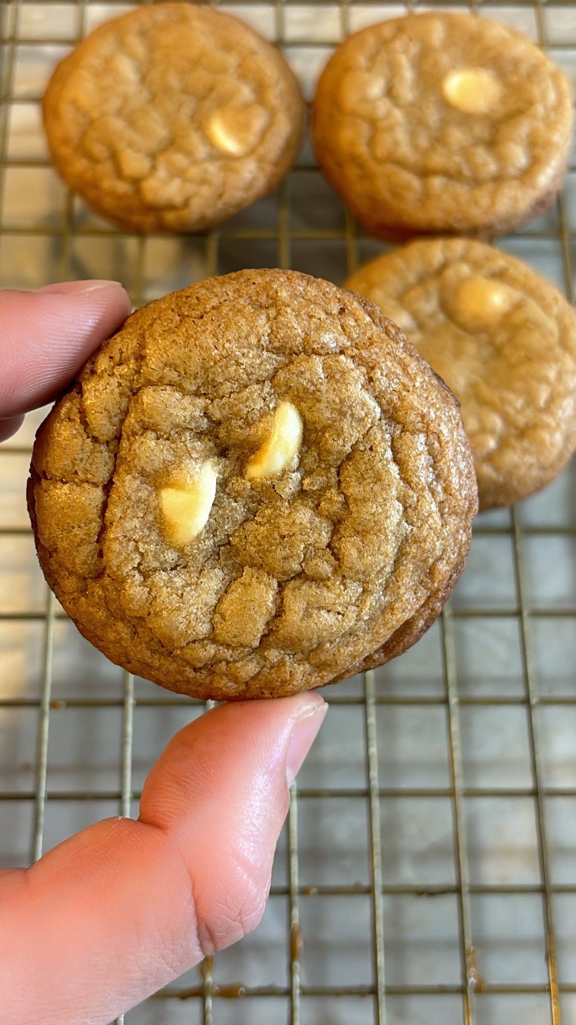 Brown Butter White Chocolate
